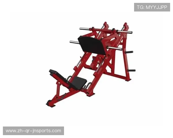 深圳大型健身器材:深圳市场上大型健身器材品牌与产品 深圳大型健身器材:深圳市场上大型健身器材品牌与产品