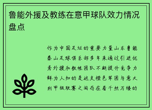 鲁能外援及教练在意甲球队效力情况盘点